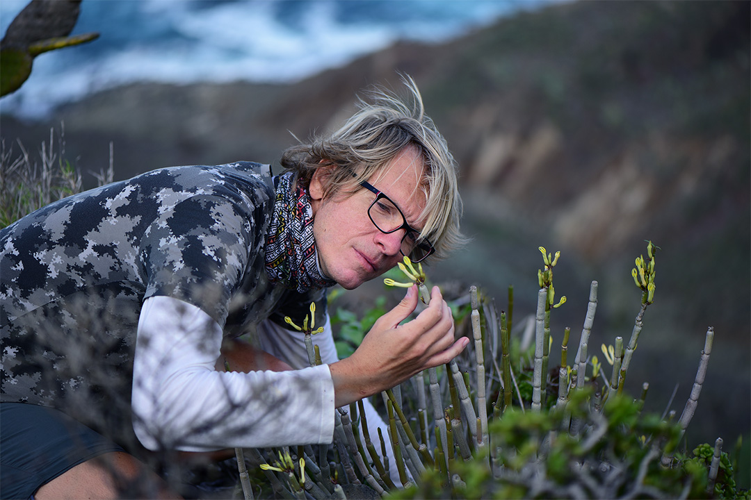 Mi is az Alex Menrich Images?